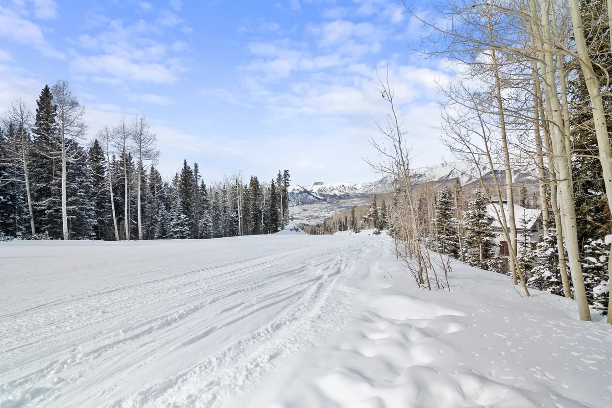 A sweeping view of a snow-covered landscape, tall evergreen trees, and a distant mountain range. The expansive vista captures the grandeur of Telluride's setting and the allure of mountain living.